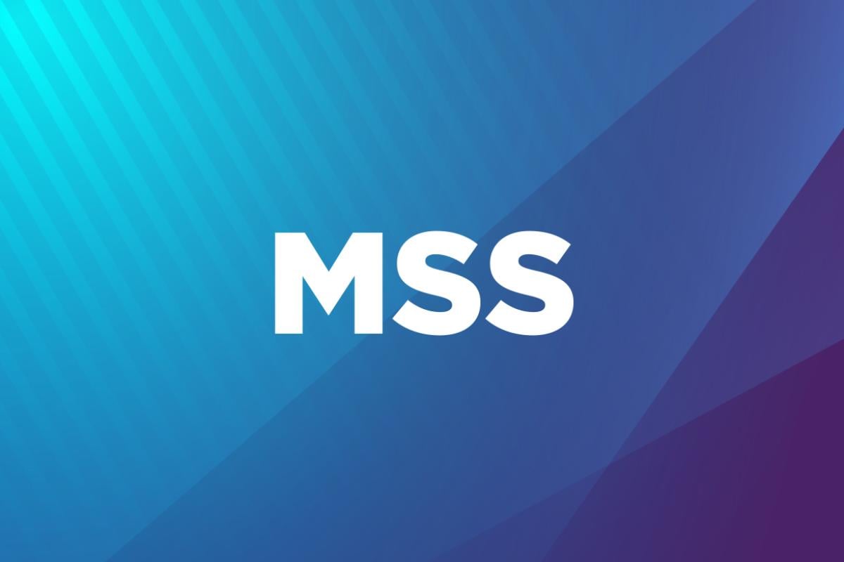 2025 MSS Annual Meeting